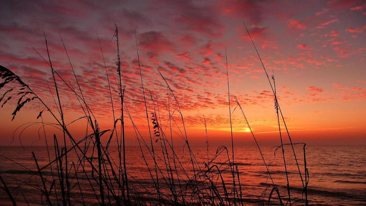 Sea Breeze 401 NEW! Amazing Beach Front/Walk to John's Pass! St. Pete Beach Exterior foto